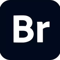 Adobe-Bridge-Terbaru-Full-Version-Download